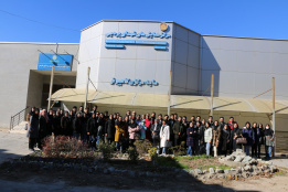 گالری تصاویر