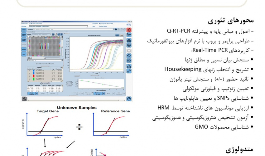 کارگاه مبانی کاربردی عملی Real-Time PCR در تحقیقات و تشخیص